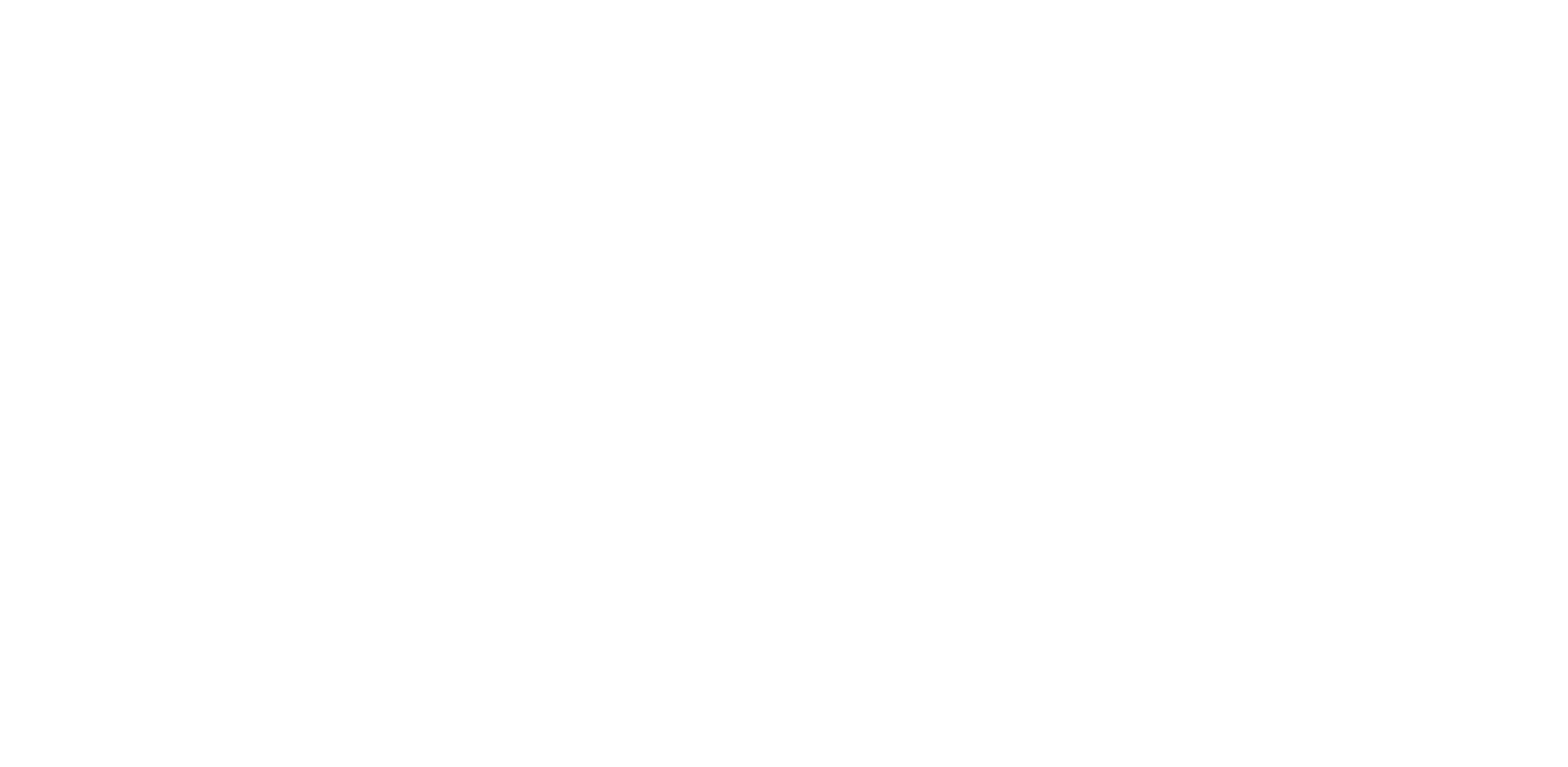 Noiclub